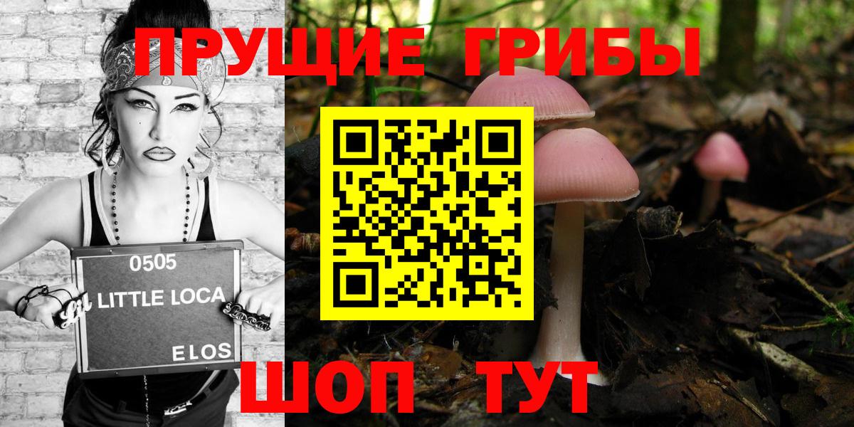 Галлюциногенные грибы MAGIC MUSHROOMS Красноярск